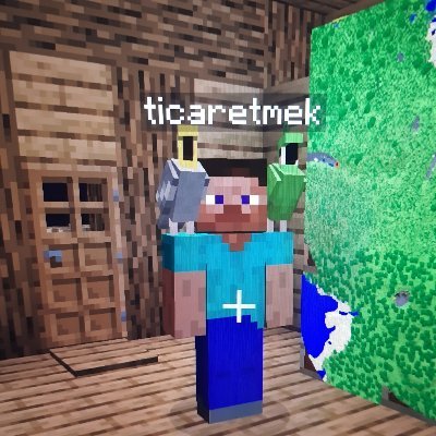 ticaretmek's profile picture