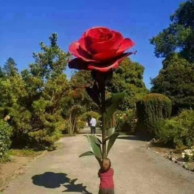DPK46328285's profile picture