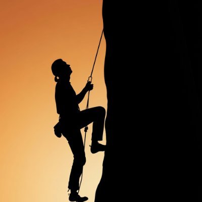 RaminAriani's profile picture