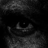 رأي's profile picture