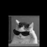 W's profile picture