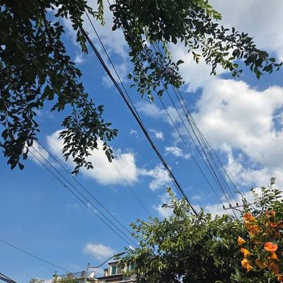여름's profile picture