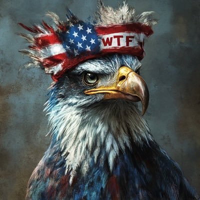 🇺🇸Positively Negative🇺🇸's profile picture