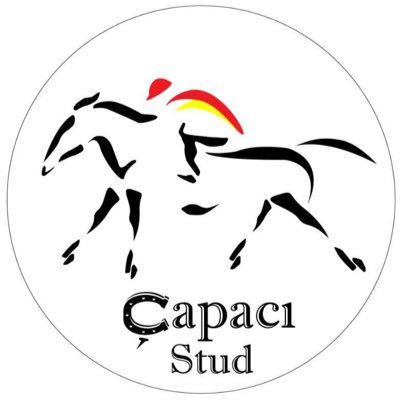 CapaciStud's profile picture