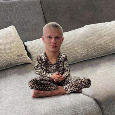 Erling Haaland Snapchat Updates's profile picture