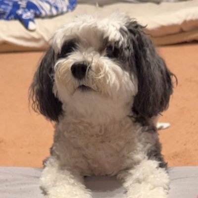 いくたろ's profile picture