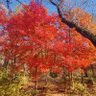 Фото профиля 逰龙