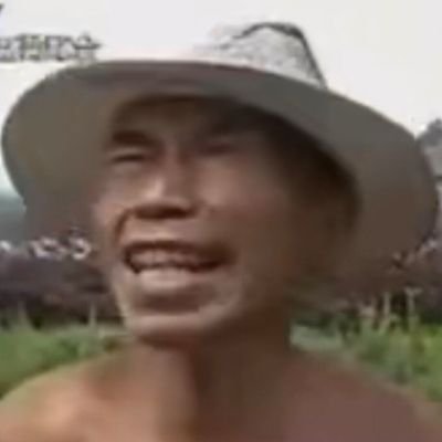 HeNanLaoNong's profile picture