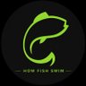 How Fish Swim profil fotoğrafı