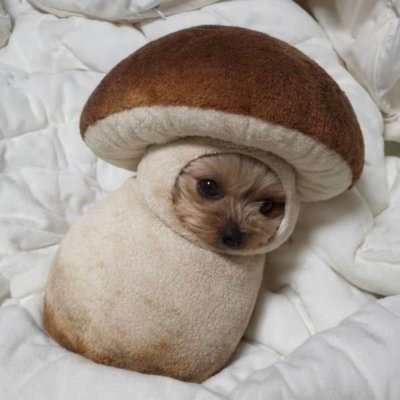 flrrrrr222's profile picture