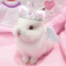 kikisita la reina kawaii ꒰ ◜༝◝ ྀིᥩ's profile picture