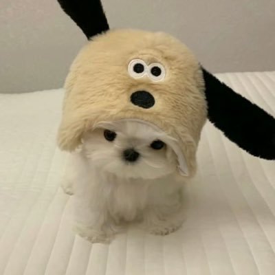 แฟนสาว (GNP) ❥˳ REST's profile picture