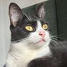 lisdexanfetaluc's profile picture