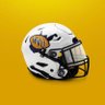WV Mini Helmet Enthusiast's profile picture