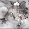 After Waking Up 的头像