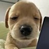 มหาจำเริญ🍼 profil fotoğrafı