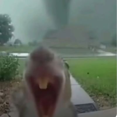 liiivinglegend's profile picture