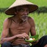 KEK PAIDJO's profile picture