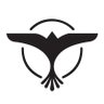 Фото профиля Son9bird