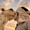 Profilbild von بعيد الهقاوي