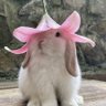 Profilbild von tay ₊˚⊹⋆