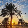 Profilbild von توفيق