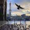 هند محمد 的头像