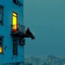 👑 WIS_DOM🎙️ profil fotoğrafı