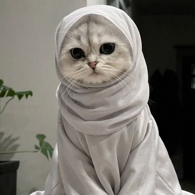 raama22791's profile picture