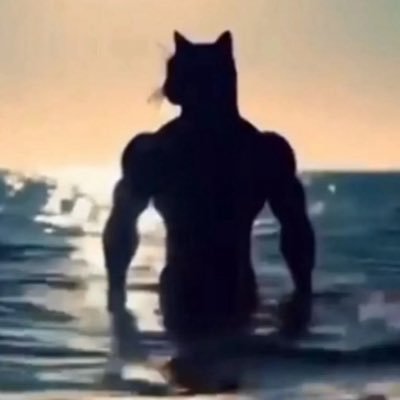 Mr. Fennec's profile picture