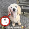 DRT profil fotoğrafı