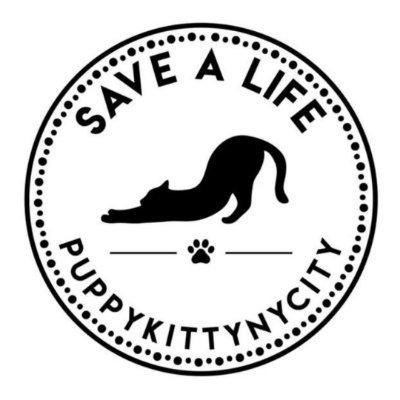 Puppy Kitty NYCity Nonprofit organization's profile picture