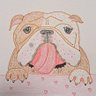 ポニョのお絵描き日記 的头像