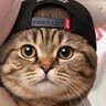 ThisIsAk's profile picture
