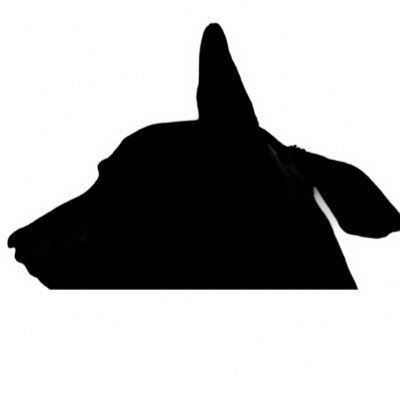 paddythegreyt's profile picture