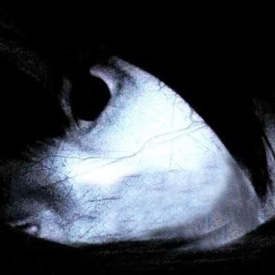 lilnosebleedd's profile picture