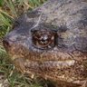 Flagg's profile picture