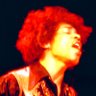 Hendrix's profile picture