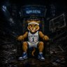 Wildcat's profile picture