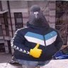 Hans's profile picture