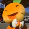 SHIN@競輪ポケカ's profile picture