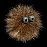 Hilton Baduki's profile picture