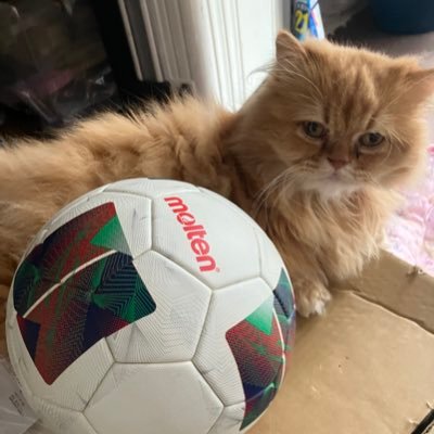 tsuchi83soccer's profile picture