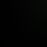 racy roamer's profile picture