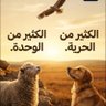 Mohammad's profile picture