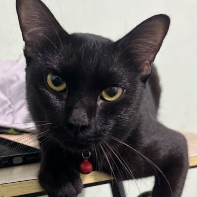 Booes's profile picture