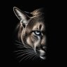 Profilbild von History of the Pride