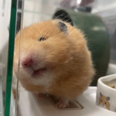 aivaqplgezpwn's profile picture
