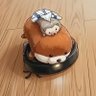 そぴすけ's profile picture