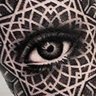 Ty Rook's profile picture